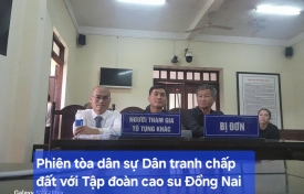 Phiên toà dân sự Dân tranh chấp đất với Tập đoàn cao su Đồng Nai 2025